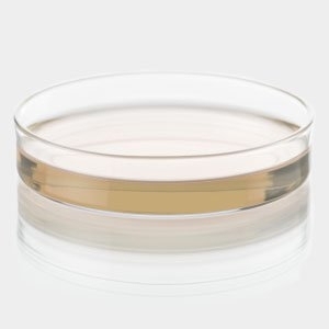 Columbia  Agar Bază