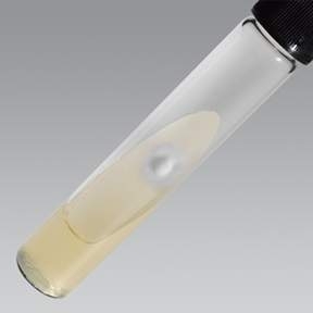 Sabouraud Dextroza Agar + Cloramfenicol (CFN)