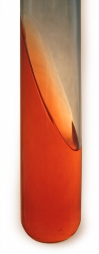 T.S.I. Agar